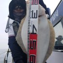 프로낚시 이미지