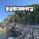 초곡용굴촛대바위길 소요시간, 주차, 시간, 애견 자세한 후기