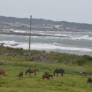 요동목장 이미지