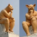 저팔계 - 장흥군 | 저팔계