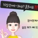 뱃살쫙