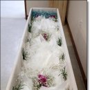 영월군장례문화