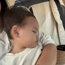 (주)킨더스윔 | [치앙마이 한달살기🇹🇭] DAY10. 올드타운 코스메틱, The Chef 푸팟퐁커리, 반캉왓 예술가의 마을