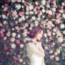 헤어보고 이미지