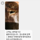 쿨세탁소 이미지
