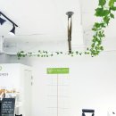 웰니스핏(WELLNESS fit)