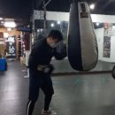 와룡복싱 이미지