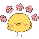 횃대둥우리 네이버블로그