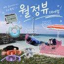 코난비치 스노클링 포인트 대여점 추천 월정뷰게스트하우스 코난해변 스노쿨링 장비 대여 파라솔과 샤워...