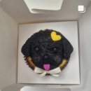 멍꾸기상점 이미지