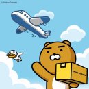 루 카카오 검색결과