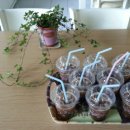 효성타운경로당 이미지