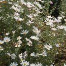 도레미키즈치과의원 이미지