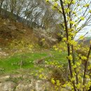 백양산 등산로 이미지