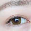 렌즈타운대전점 이미지