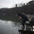플라이하니