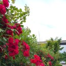 둘이농장 이미지