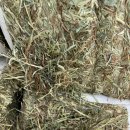 이창현 농장 이미지