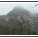 남대전등기소 앞 이미지