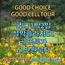 플라자C.C 이미지