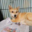 사림동125 이미지