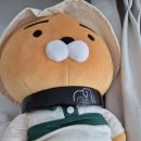 압구정맘모스헤어라인의원 이미지