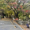 호박소가는길 이미지