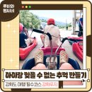 루지앤라운지 | [아이랑 강화도 여행코스 추천] 스릴 넘치는 강화루지 드디어 타봤어요 케이블카는 덤! (강화루지할인...