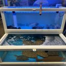 꽃내음약국 이미지