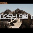 총각 스포츠동아