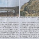 바라본바다 이미지