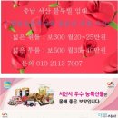 성왕산등산로 이미지