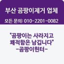 부산 집곰팡이냄새 후기 이렇게 해결했어요