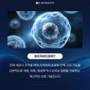 힘드림마취통증의학과의원 네이버블로그