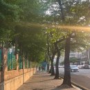 김달인김밥 | ‘25년 4월 (5)