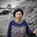 남해-177 이미지