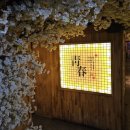 경대북문 앞 | 대구 북문/경대 북문 술집 ‘청춘’ 방문 후기(순살치킨,김치찌개)