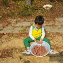 참벗어린이집 이미지