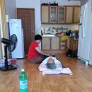 왕산경로당 Daum카페