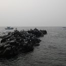 감포비치하우스 이미지