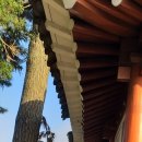 풍천대봉감농원 이미지