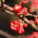 아주노동조합 이미지