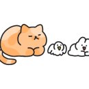 봉쥬르멍멍 이미지