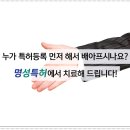 안양국제유통단지_상 이미지