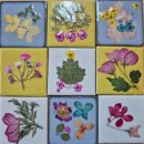 플라워메이드 | 정성 가득한 핸드메이드 선물 압화(프레스 플라워) 제작 후기