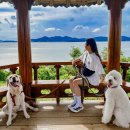 미단시티 2호 근린공원 배드민턴장 | 영종도 예단포 둘레길 애견동반 코스 주차 (숨은바다 가는길)