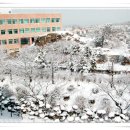 인하대학교사범대학부속고등학교 이미지