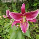 두발노래방 이미지