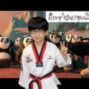 용인대힘찬태권도 이미지