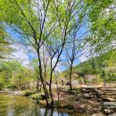 평창자연속쉼표 이미지